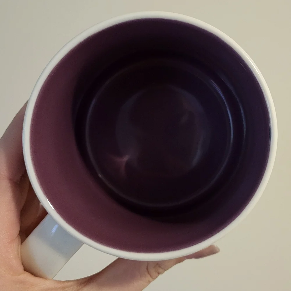 Starbucks Magic Kingdom Mug